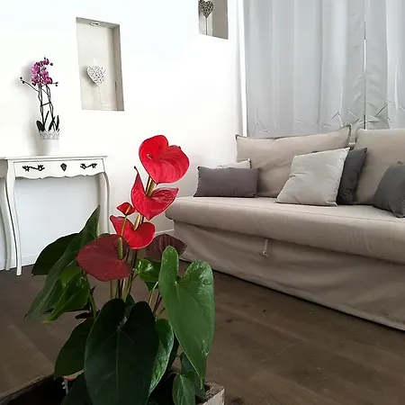 Semesterbostad Mas Lamalya